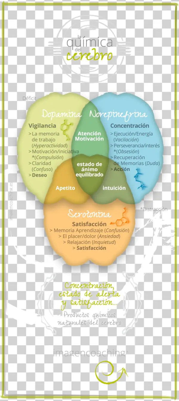 La Química Del Cerebro