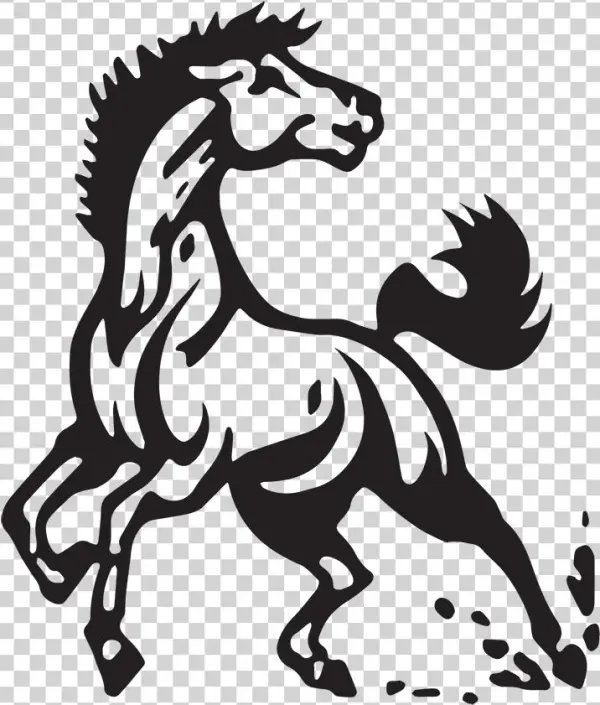 Meadowview Elementary Home Of The Mustangs
