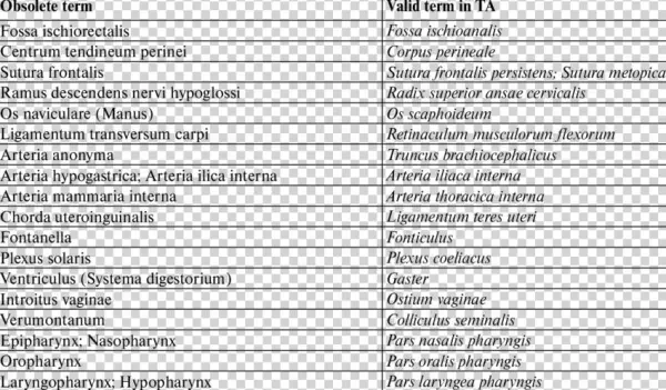 The Comparison Of The Obsolete Terms From Previous