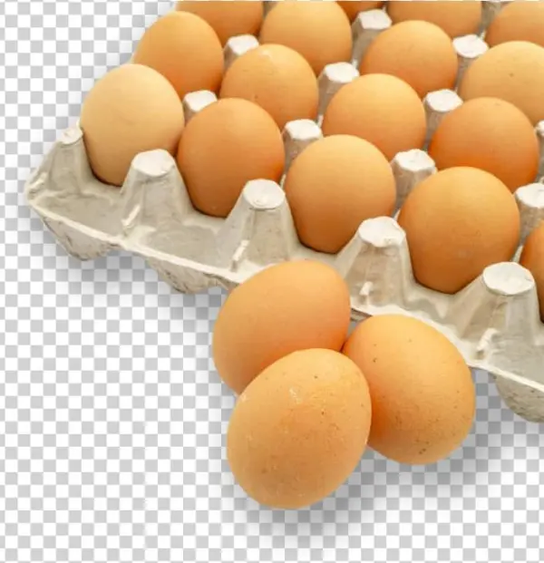 10 Egg Cartons