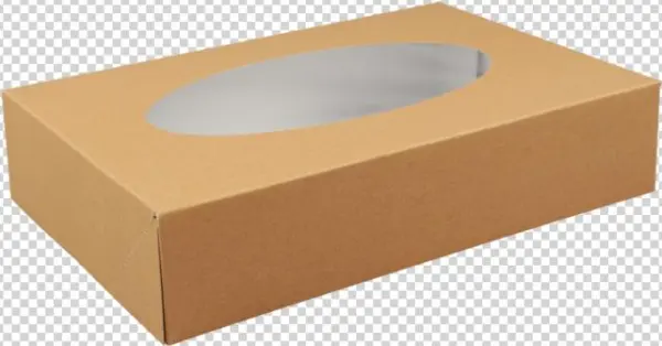 Biodore® Catering Box, Kraft And Pla, 360x250x80mm, - Plywood