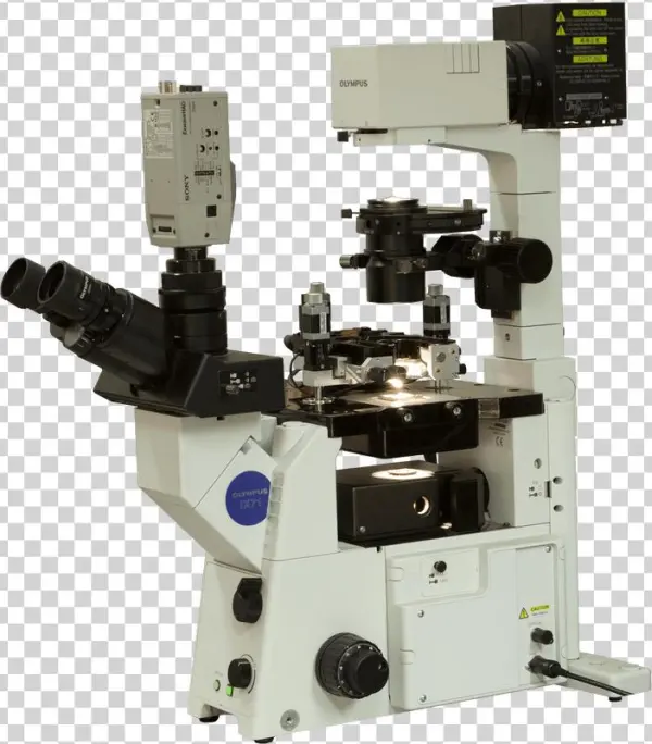 Certus Optic Atomic Force Microscope