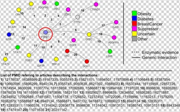 Each Protein Is Depicted As Circle Whose Color Refers - Ptp1b Substrates