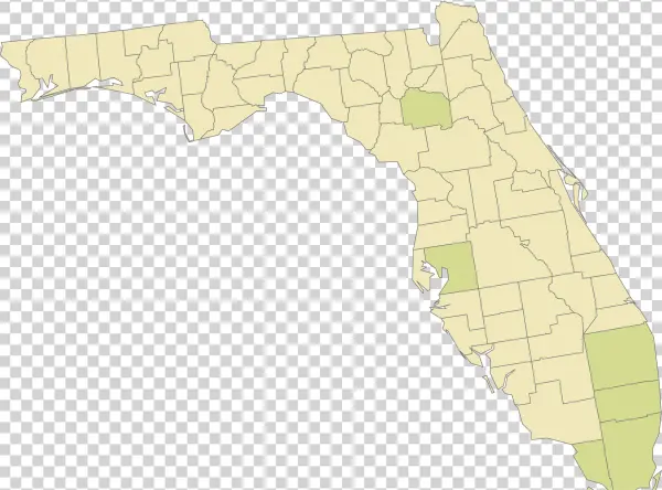 Legend - State - Vote In Florida
