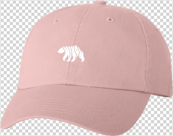 Nikan Dad Hat