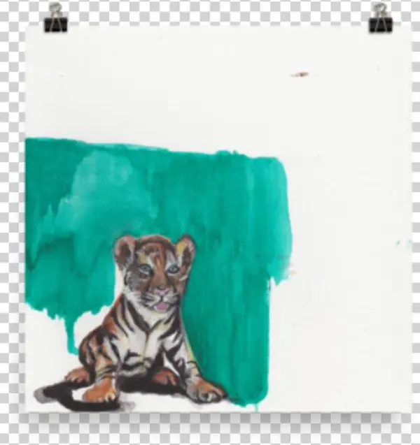 Ocelot