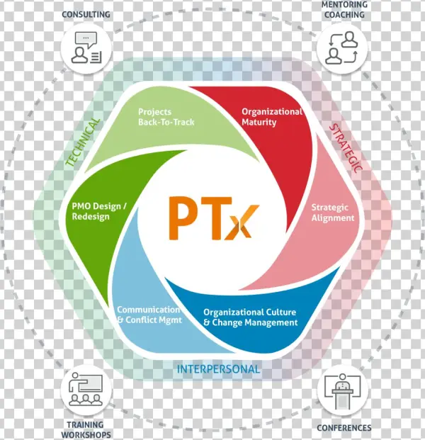 Practical Thinking Experience - Portuguese Language