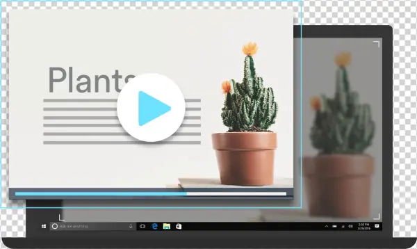 Screen Recorder For Windows - Houseplant