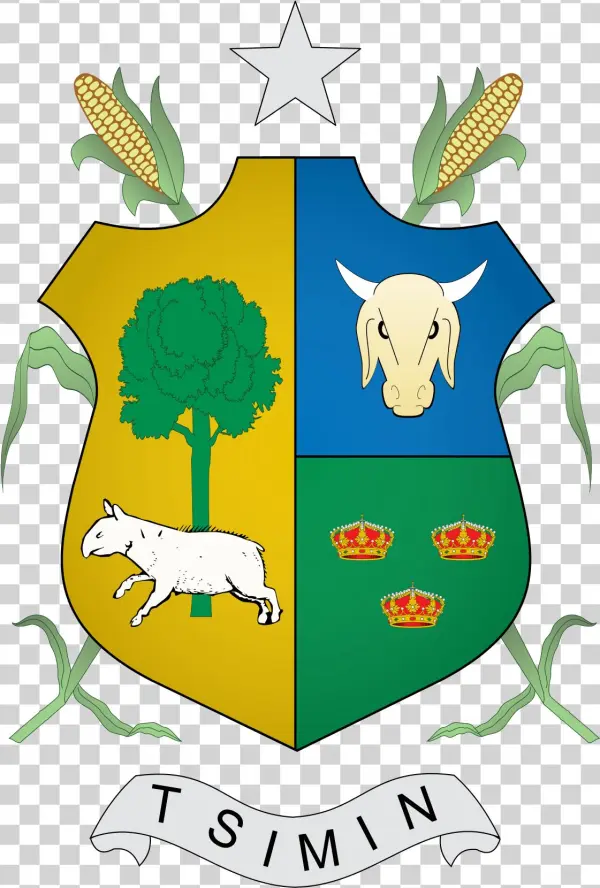 Escudo De Tizimin