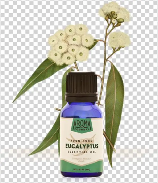 Essential Oil Aroma Foundry - Cosmetics