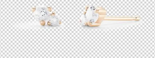 Estimated Traditional Retail - Earrings