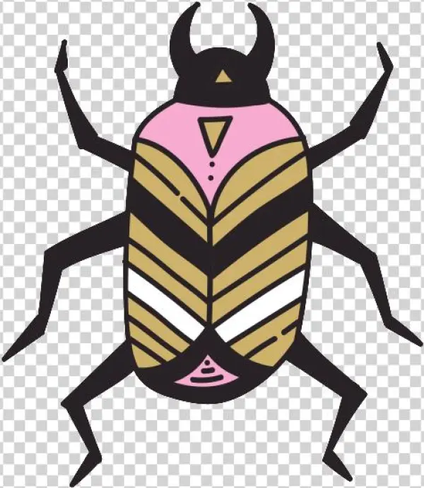 Hand Painted Insect Harajuku Style Transparent - Weevil