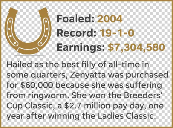 Spectacular Bid - Circle