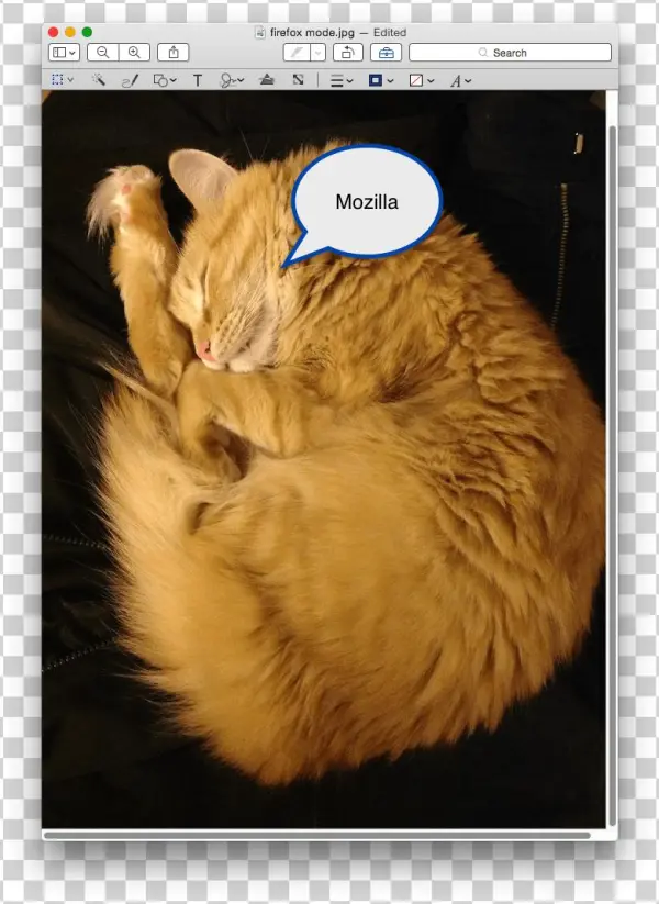 Speechbubble - Cat Yawns