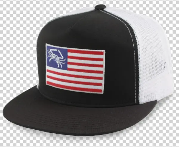 V=1544380497 - Baseball Cap