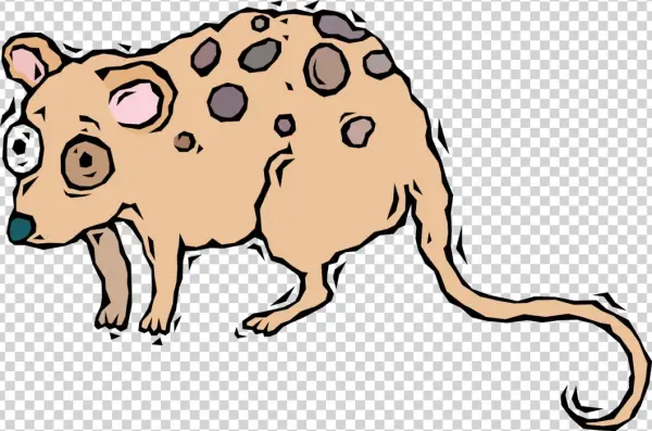 Vector Illustration Of Starry-eyed Opossum