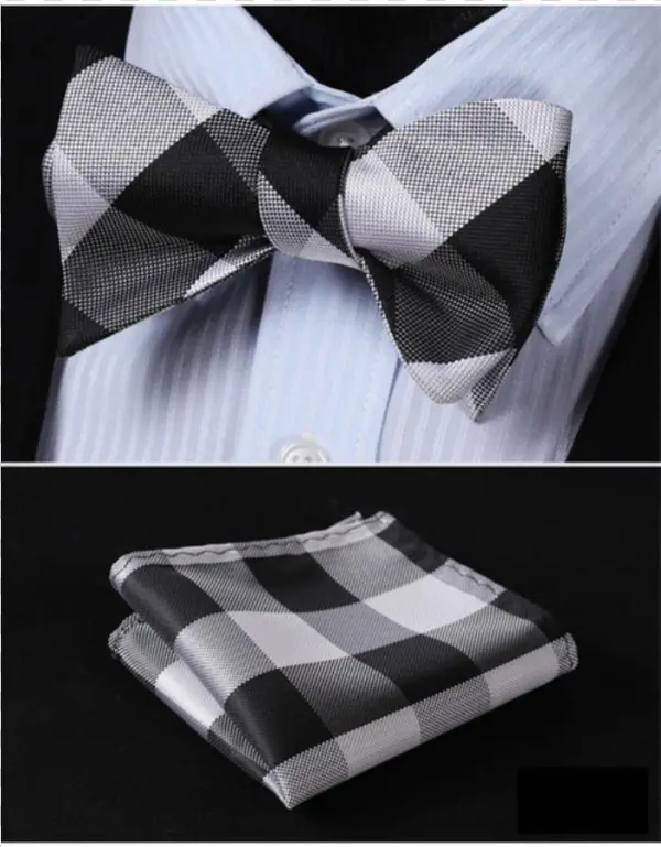 2d73498a Aa10 42c6 Bae8 F87b3d607a918 - Necktie
