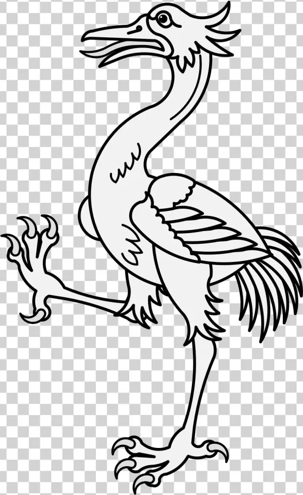 Crane - Ciconiiformes