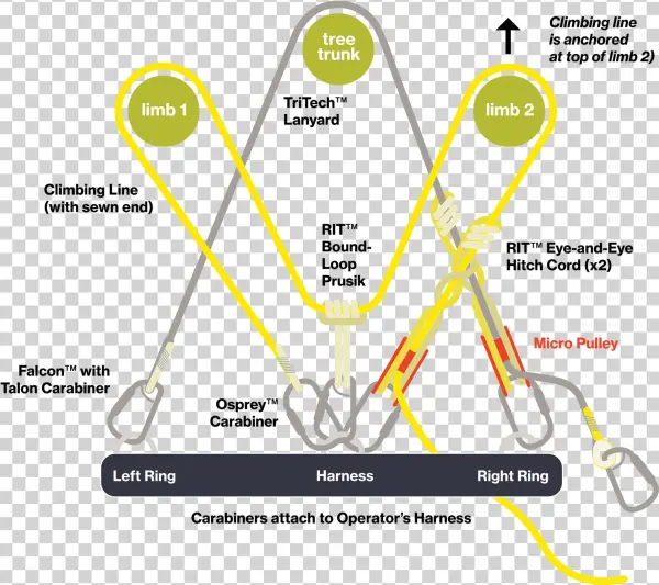 M System - Diagram