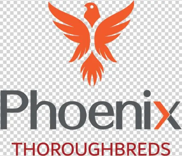 Phoenix Bird Png