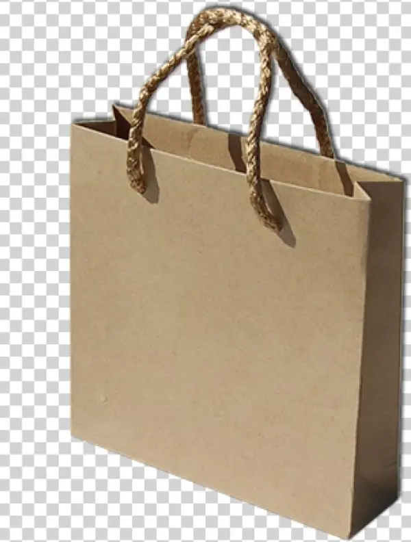 Sacolinha De Papel Png
