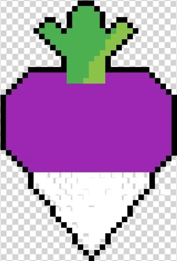Turnip