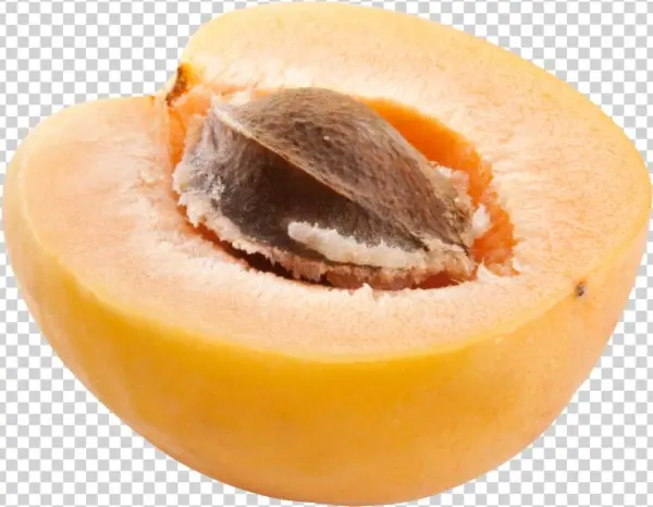 Apricot