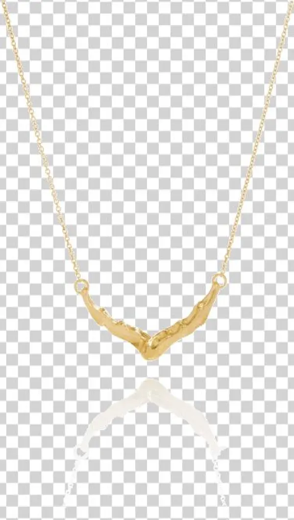 Cygnus Necklace - Pendant