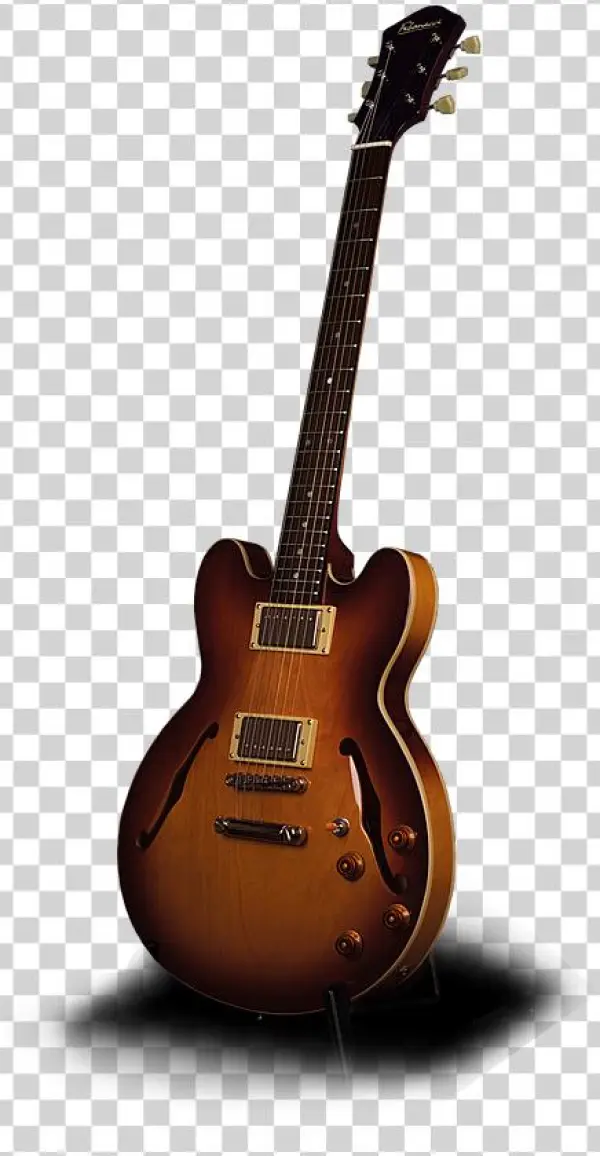 Fibonacci Tomcat - Electric Guitar