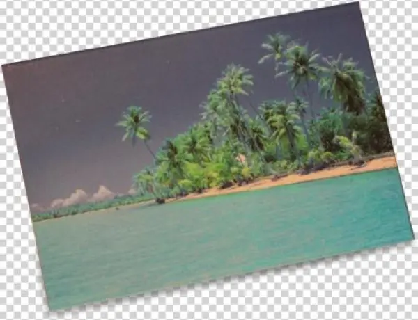 Glarecards® Polarized Demonstration Cards - Palmeninsel
