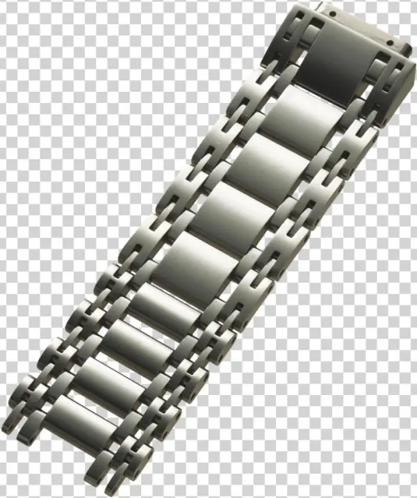 Louisiana Alligator Band With Cites - Chain