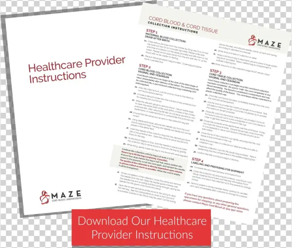 Maze For Men - Display Device