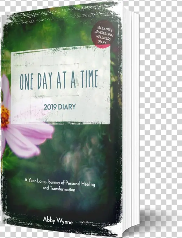 One Day At A Time Diary - Purple Coneflower