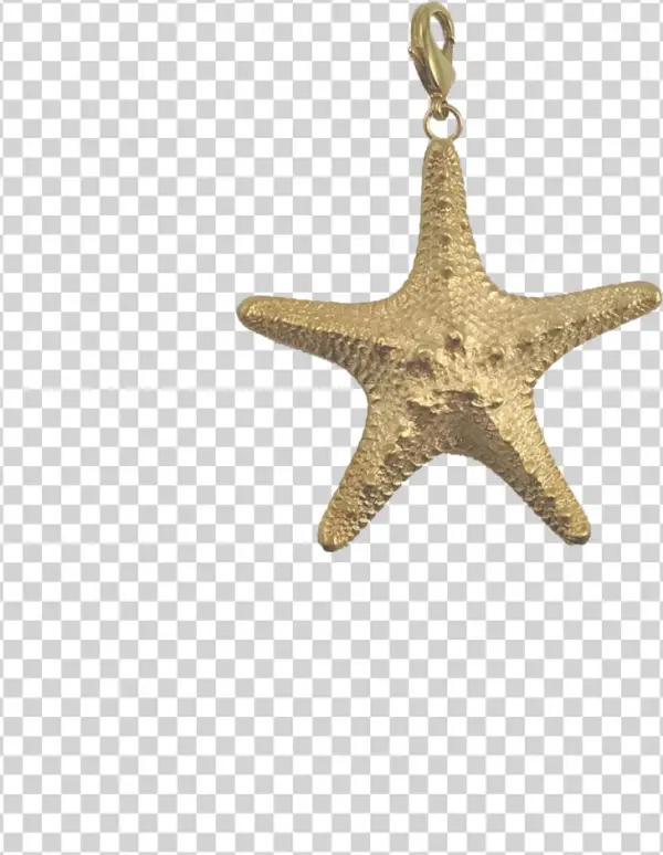 Studded Starfish Enhancer - Locket