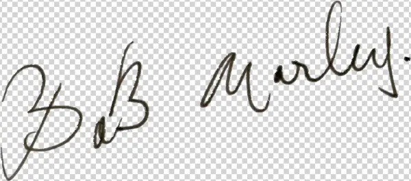 Undefined - Calligraphy