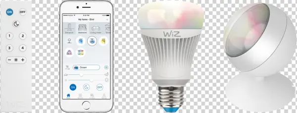 Wiz Light
