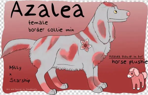 Azalea - Picture - Cartoon