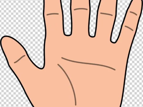 Fingers Clipart