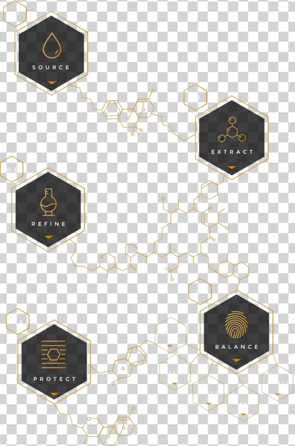 Goldmoon Home Infographic - Harmonic Table