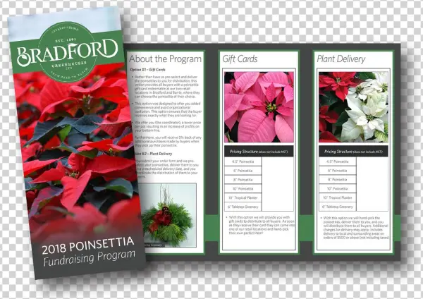 How To Order - Poinsettia