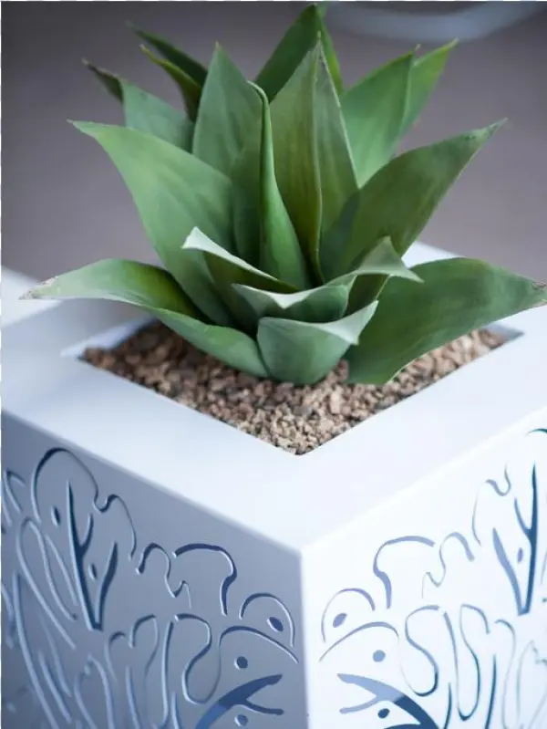 Metallic Botanics Monstera - Agave