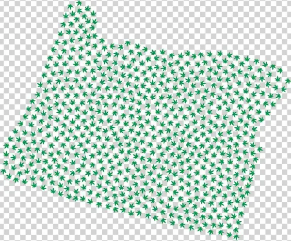 Oregon Marijuana Green - Graph Maltego Visualization