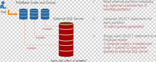 Polybase Scale-out Groups - Cylinder