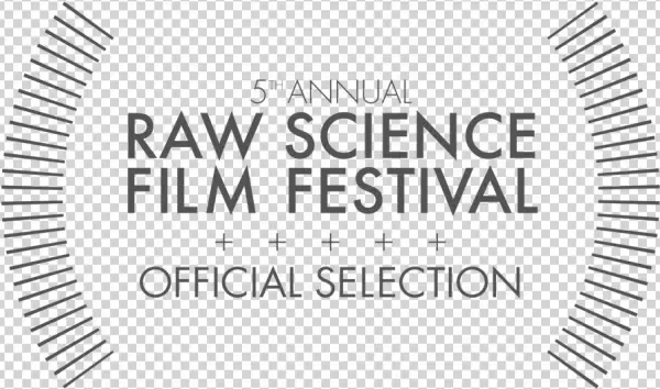 Rsff Laurels Selection Outline - Te Arawa