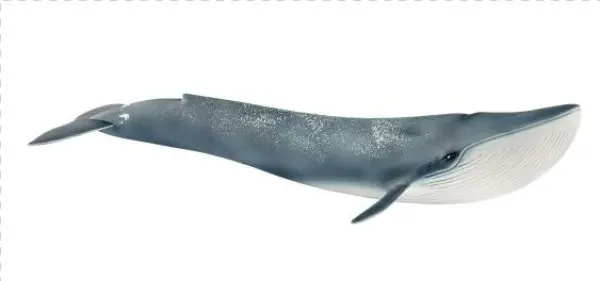 Whale Toys Schleich