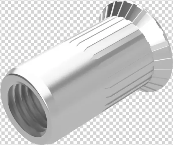 3d View - Nipple