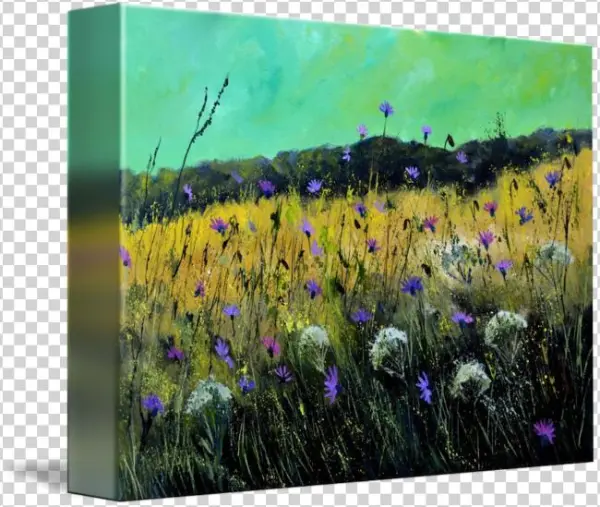650 X 549 5 - Fernleaf Lavender
