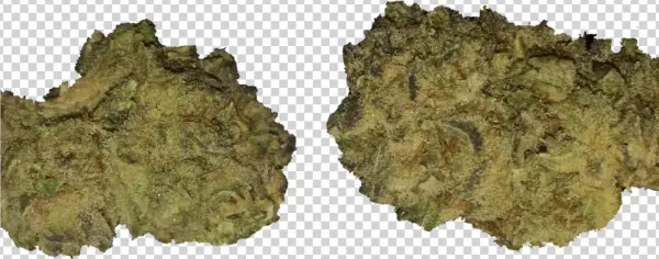 Candyland Review, Sativa Dominant By Jimmyinspazzz - Rock