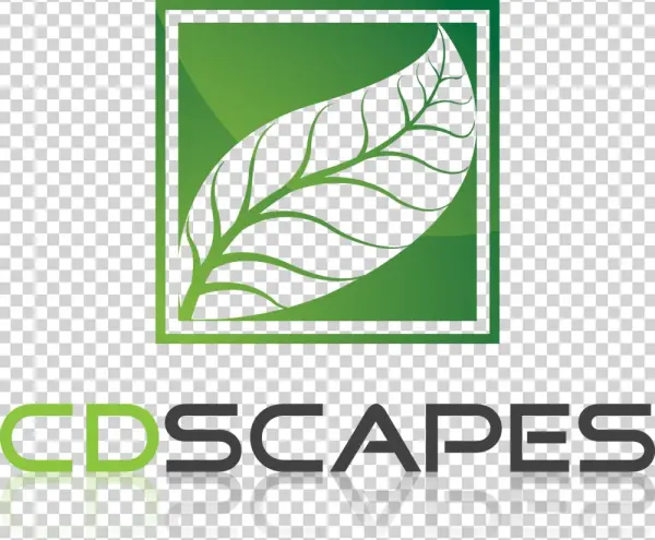 Cd Logo Png