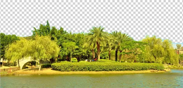 Clip Free Download Vector River Scenery - Attalea Speciosa